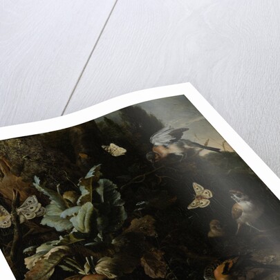 Animals and Plants by Melchior d' Hondecoeter