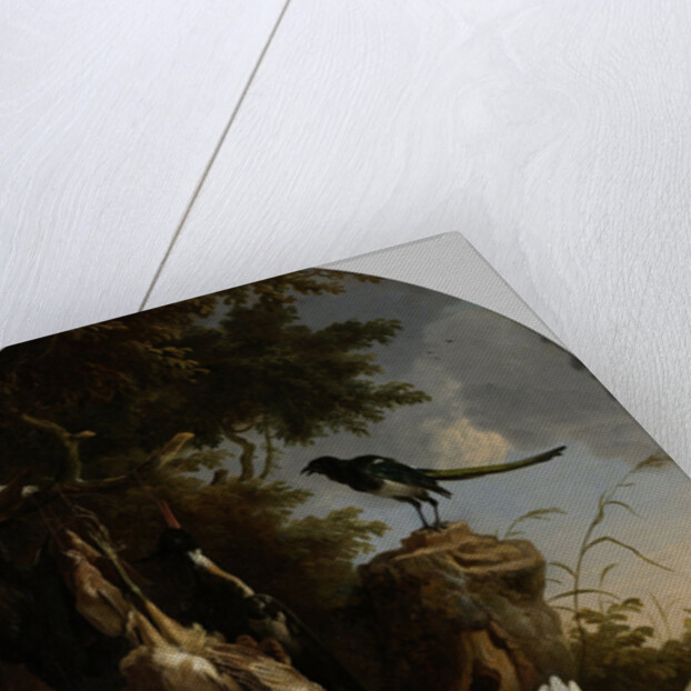 A Hunter’s Bag near a Tree Stump with a Magpie, Known as ‘The Contemplative Magpie’ by Melchior d' Hondecoeter