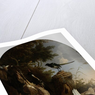 A Hunter’s Bag near a Tree Stump with a Magpie, Known as ‘The Contemplative Magpie’ by Melchior d' Hondecoeter