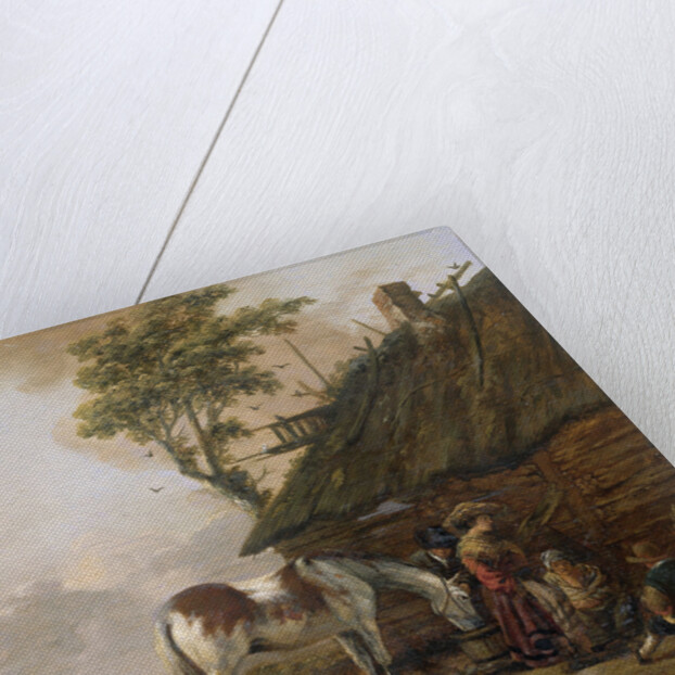 A Piebald Horse by Jan Wouwerman