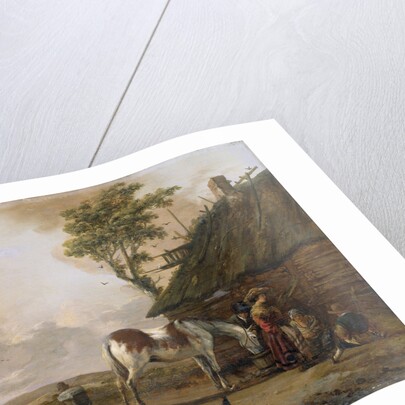 A Piebald Horse by Jan Wouwerman