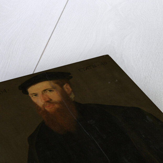 Portrait of Willem van Lokhorst by Jan van Scorel