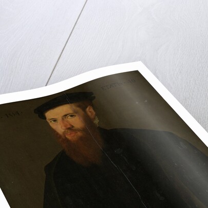Portrait of Willem van Lokhorst by Jan van Scorel