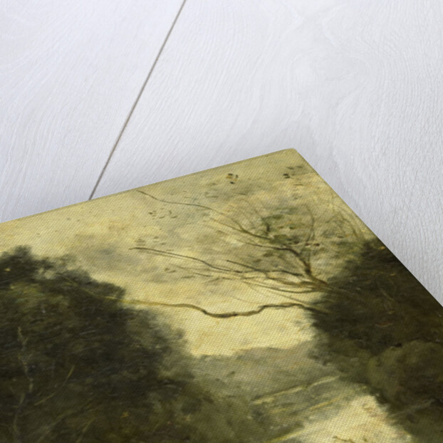 Forest pond by Camille Corot