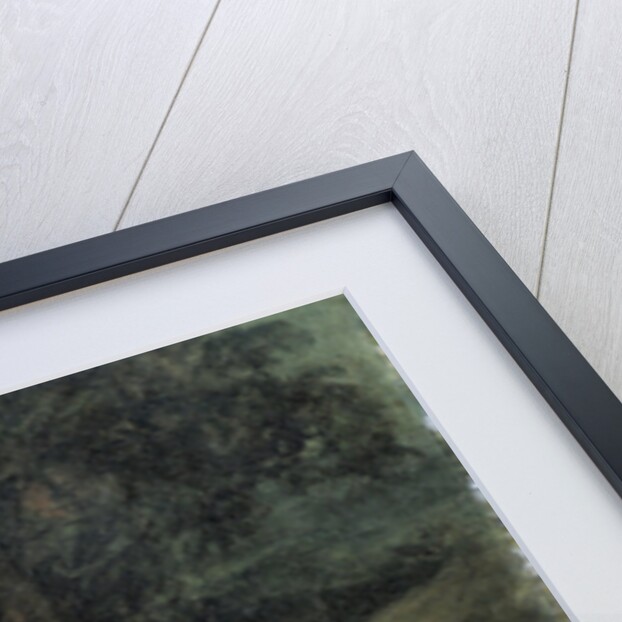 The Agony in the Garden by Eugène Delacroix