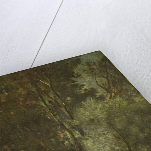 Forest scene by Jules Dupré