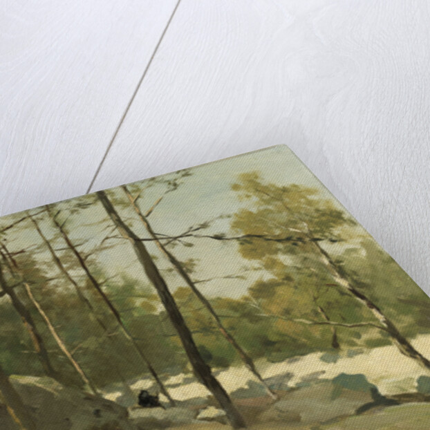 Wooded View near Barbizon, France by Johan Hendrik Weissenbruch