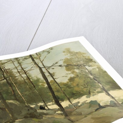 Wooded View near Barbizon, France by Johan Hendrik Weissenbruch