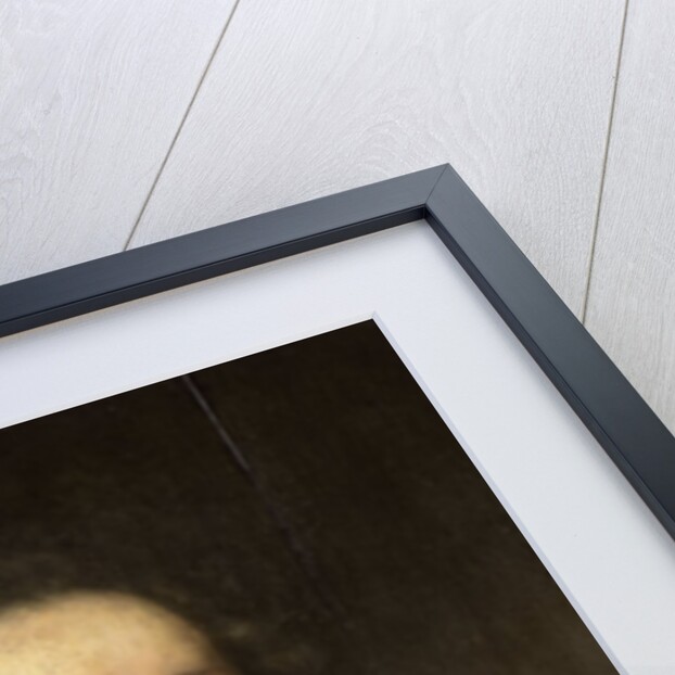 Portrait of a man, possibly Jan Doublet by Jan Antonisz van Ravesteyn