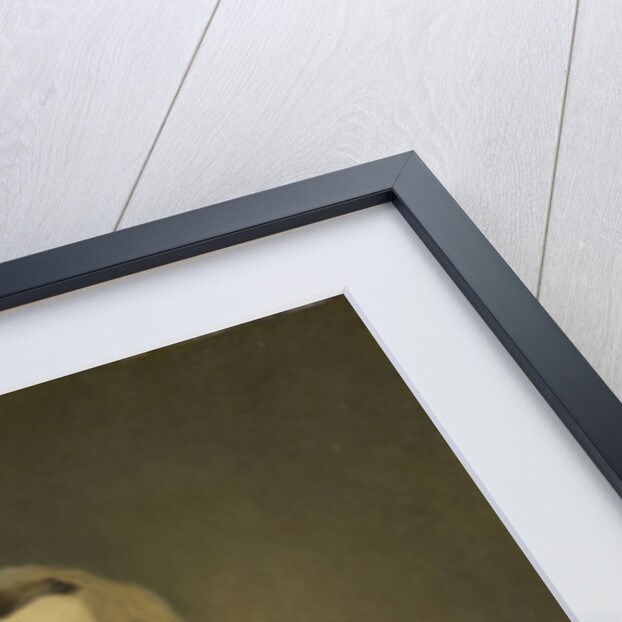 Portrait of J C de Brunett, Consul-General of Russia to Amsterdam by Anonymous