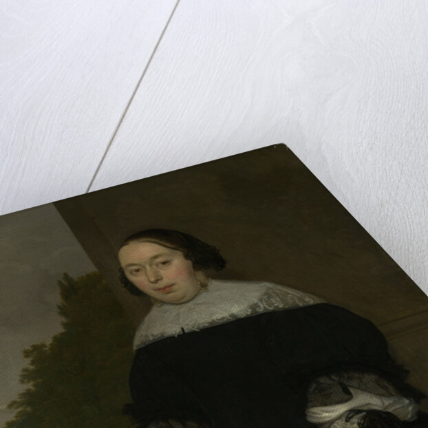 Portrait of Aletta van Ravensberg, Wife of Jan van Nes by Ludolf de Jongh