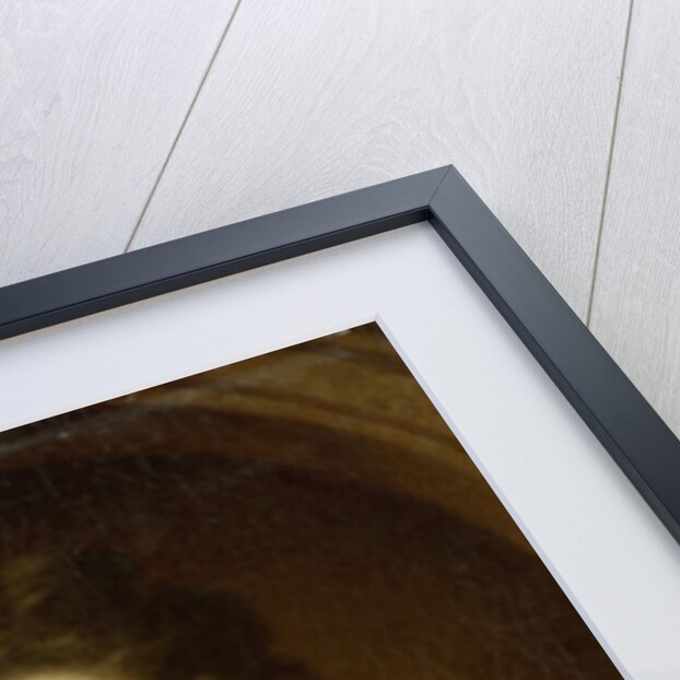 Portrait of Emerantia van Citters, Sister of Anna van Citters by Simon Dubois