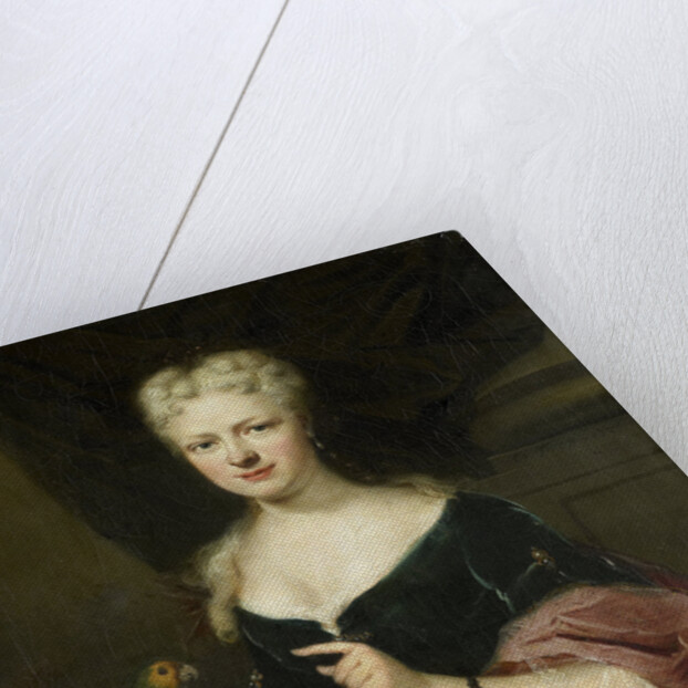 Portrait of Maria Magdalena Stavenisse, Wife of Jacob de Witte of Elkerzee, Councilor of Zierikzee by Cornelis Troost