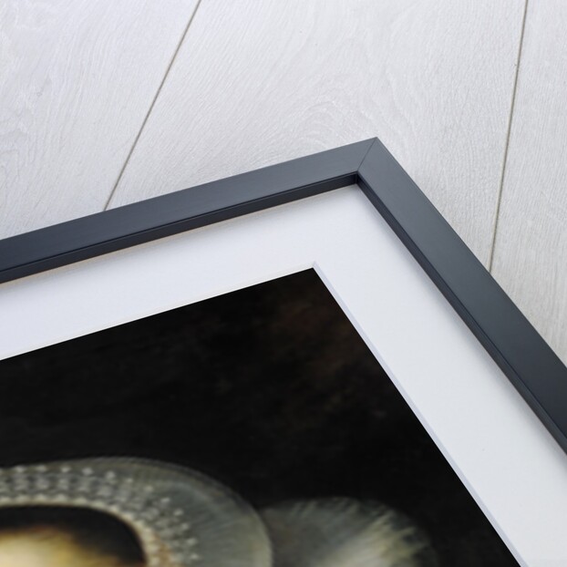 Portrait of Hortensia del Prado (died 1627) by Gortzius Geldorp