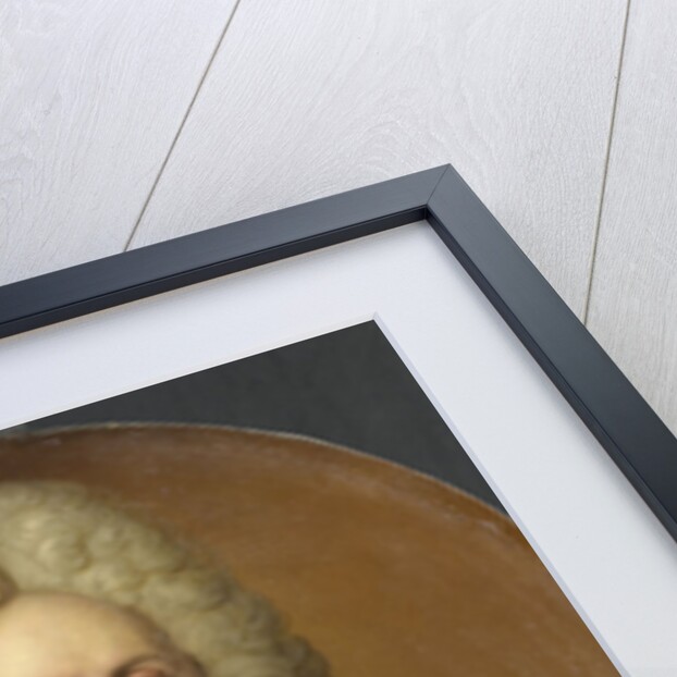 Portrait of Hieronymus Josephus Boudaen, Lord of St Laurens and Popkensburg by Johan George Collasius