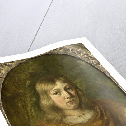 Portrait of a young Man by Jan van Mieris