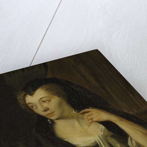 Portrait of Anna de Hooghe, the Artist's fourth Wife by Ludolf Bakhuysen