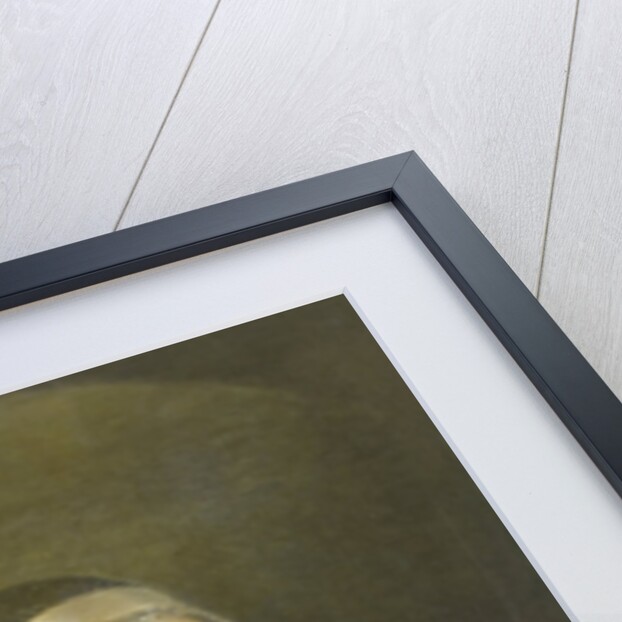 Portrait of Christina Sebilla Charlotte Bakhuizen, Wife of Joannes van den Brink, Commission Agent by Benjamin Wolff