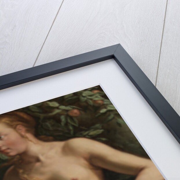 Vertumnus and Pomona by Hendrick Goltzius