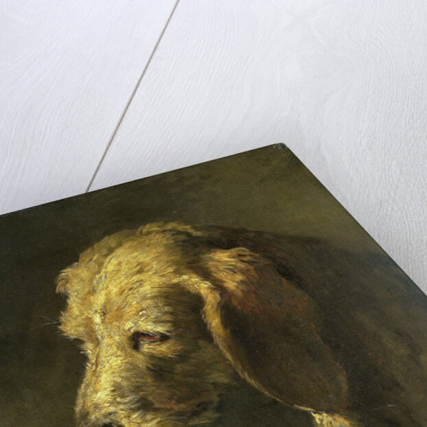 Head of a Dog by Nicolas Toussaint Charlet