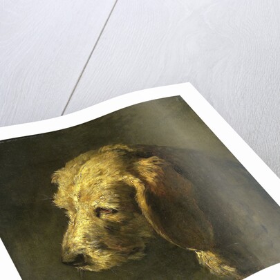 Head of a Dog by Nicolas Toussaint Charlet