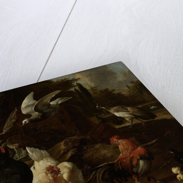 Birds in a Park by Melchior d' Hondecoeter