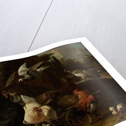 Birds in a Park by Melchior d' Hondecoeter