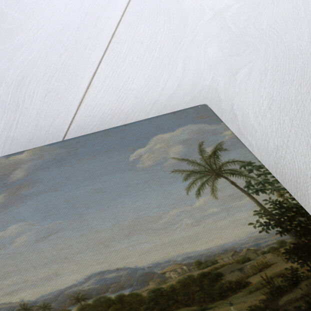 Brazilian Landscape Brazil by Frans Jansz Post