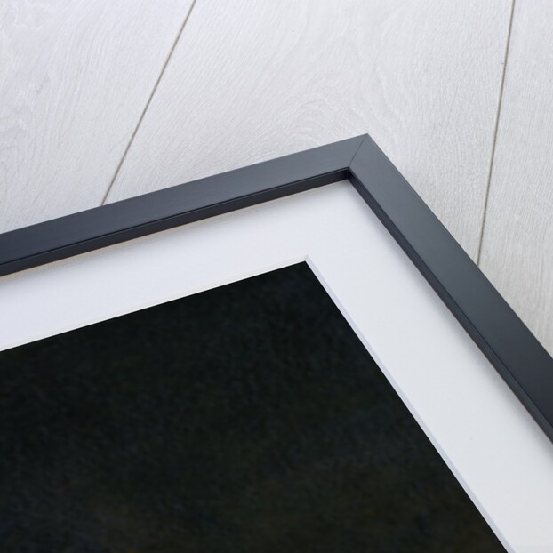 Christ Taken Prisoner (Betrayal of Christ) by Aert de Gelder