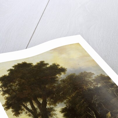 Forest landscape with lean-to by Roelant Roghman
