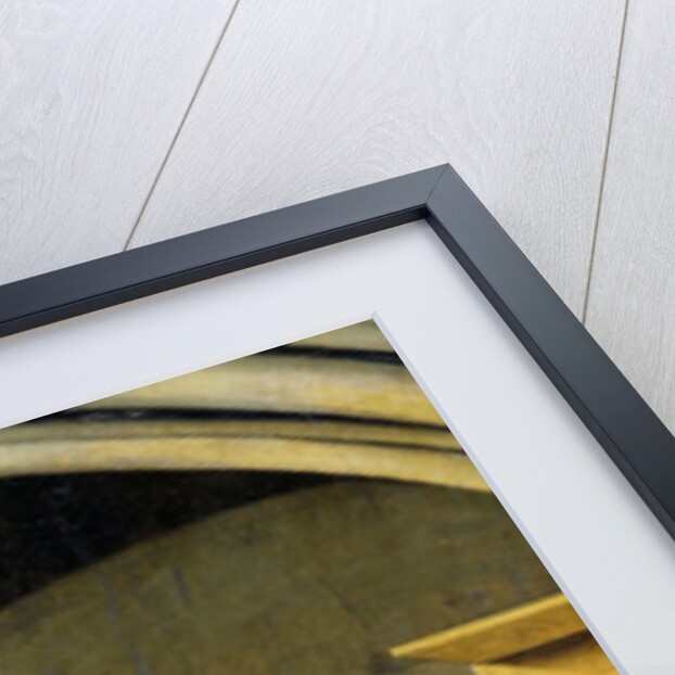 Still Life with Books in a Niche by Barthélémy d' Eyck