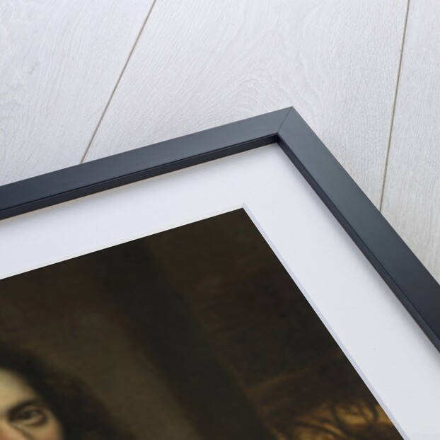 Portrait of a Man by Jacobus Levecq