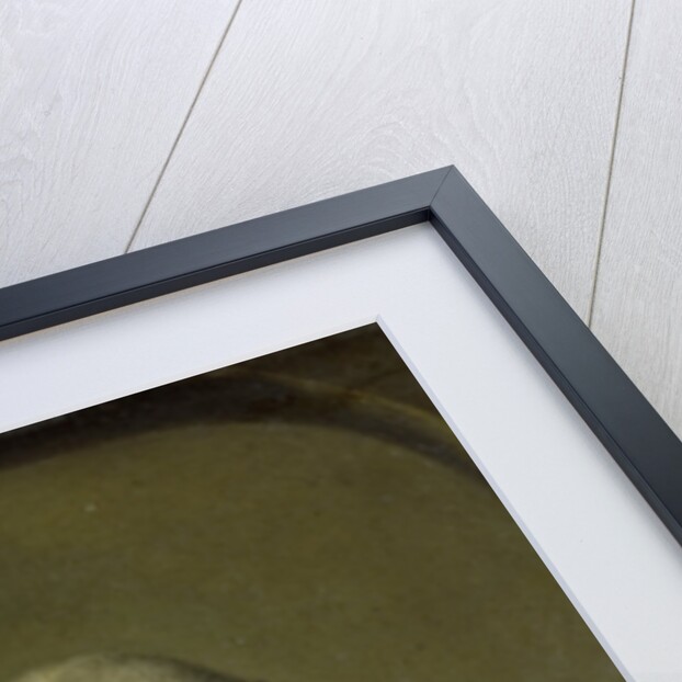 Portrait of Pieter Nicolaas Rendorp, Amsterdam Brewer by Tibout Regters