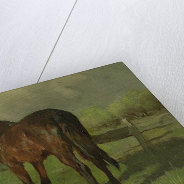 Horse by Anton Mauve