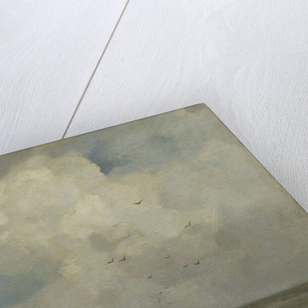 Shells Fish by Jacob Maris