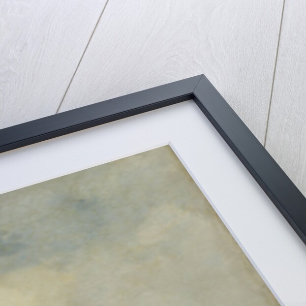 Shells Fish by Jacob Maris