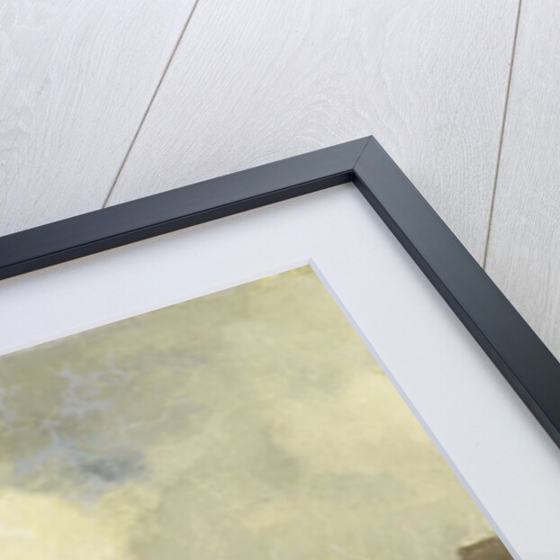 Old small neighborhood on the water by Jacob Maris