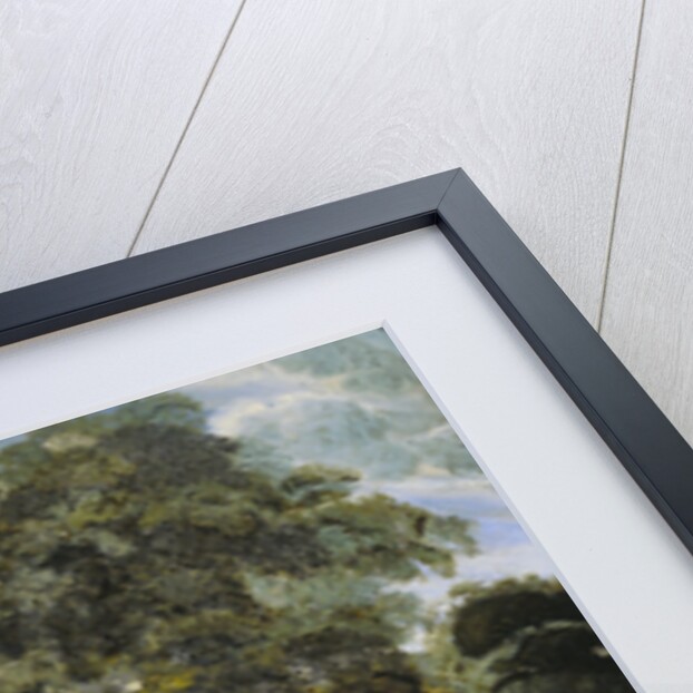 Woodland Scene by Jan van der Heyden