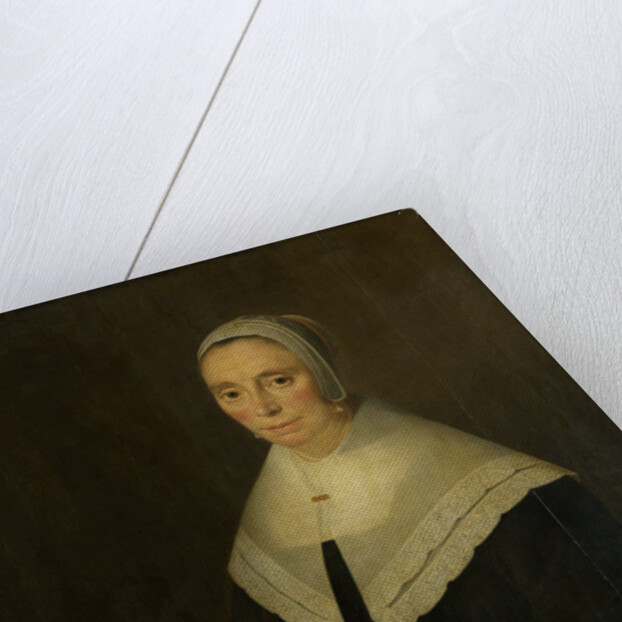 Portrait of a Woman by Hendrick Cornelisz. van Vliet