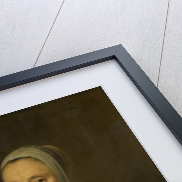 Portrait of a Woman by Hendrick Cornelisz. van Vliet