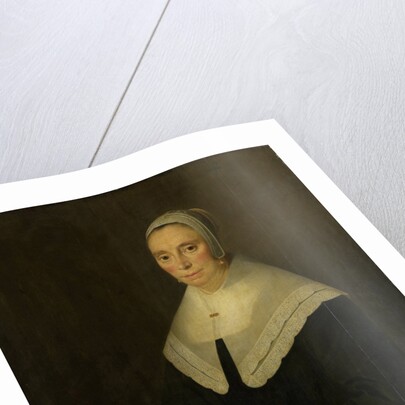 Portrait of a Woman by Hendrick Cornelisz. van Vliet