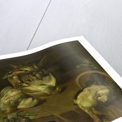 Still Life with Birds and Fish by Alexander Adriaensen