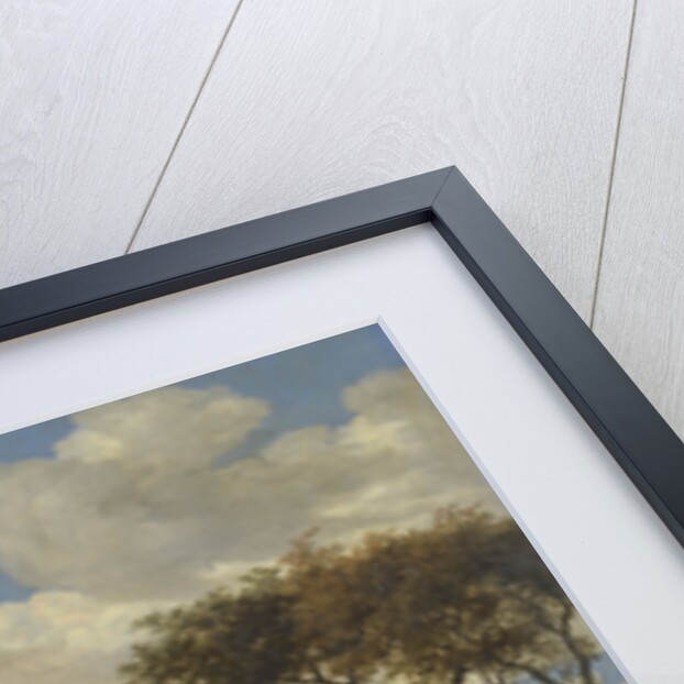 View of a village by Salomon van Ruysdael