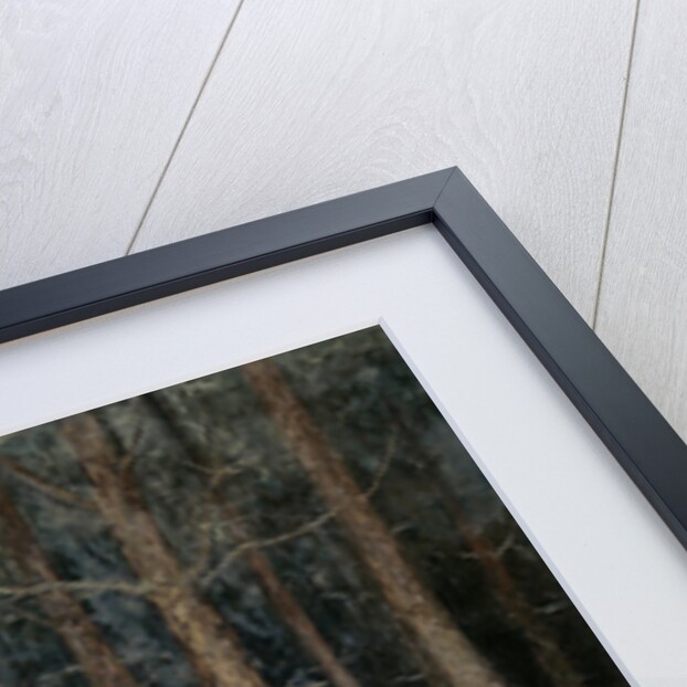 Mystical paths, forest scene by Gust van de Wall Perné