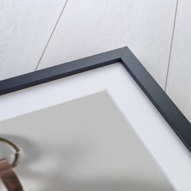 Portrait of a Surinamese Girl by Anonymous