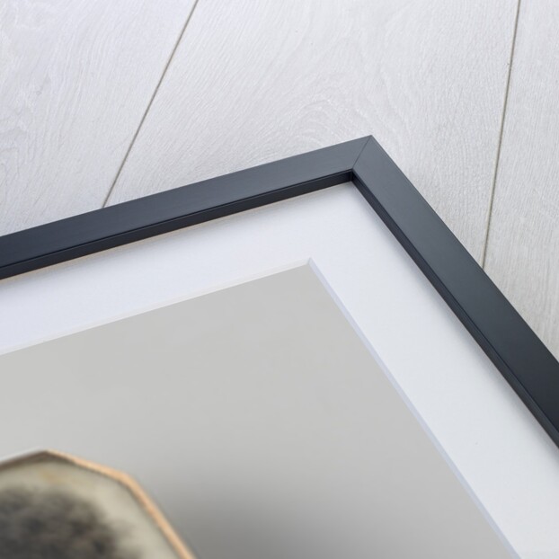 Broche met silhouet, Portrait of a woman by Anonymous