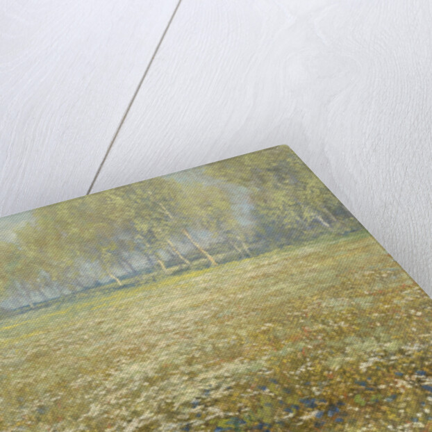 Meadow in Bloom by Egbert Rubertus Derk Schaap