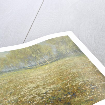 Meadow in Bloom by Egbert Rubertus Derk Schaap