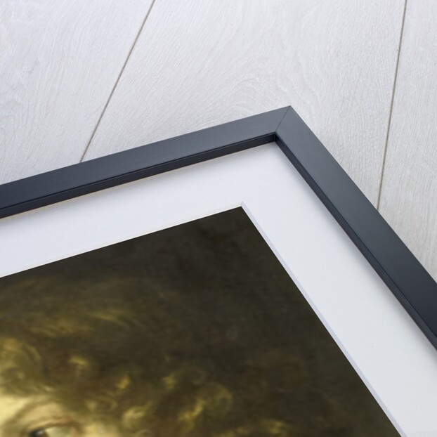 A daughter and a son (Constantijn?) of the artist by Caspar Netscher