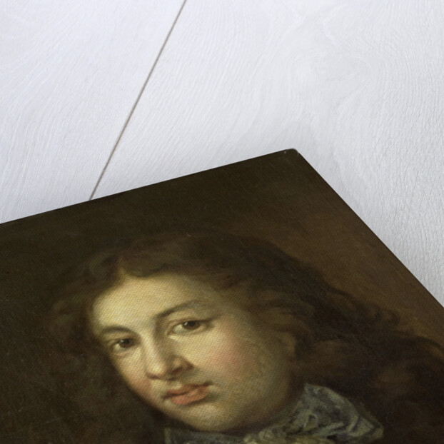 Portrait of Thedoor Netscher, the painter's oldest son by Caspar Netscher